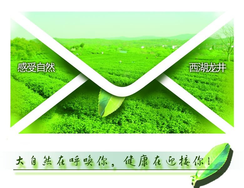 2011茶与健康西湖龙井系列活动--茶文化创意大